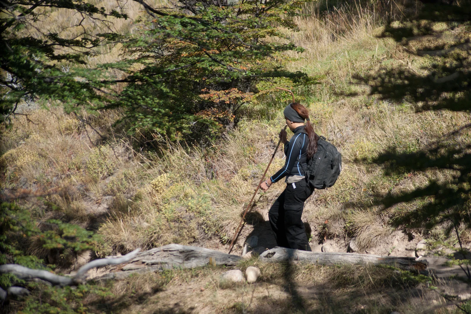 A walker with a backpack and walking stick on a wooded trail